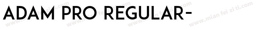 Adam PRO Regular字体转换